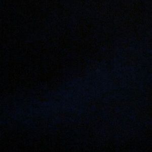 Meet your Posher, Ronnie